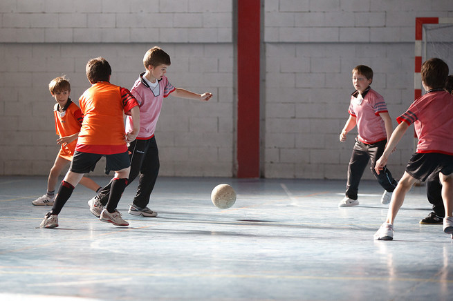 Terraferma activities